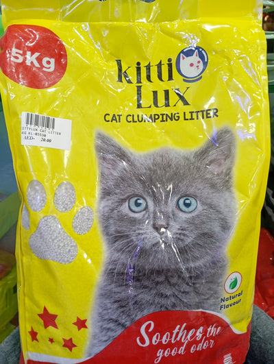 Cat Litter and Litter Boxes