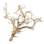TINY RAMOUS WOOD 20-50cm