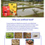 OCEAN FREE AROWANA PELLETS 250G