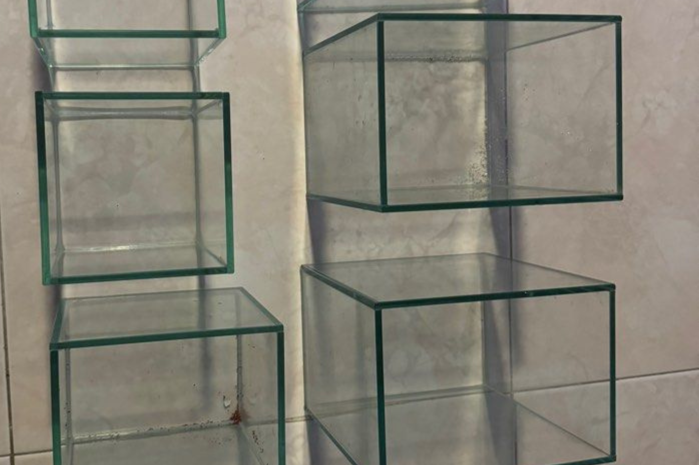 Custom Aquarium Tank
