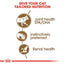 ROYAL CANIN AGEING +12 GRAVY 1 POUCH