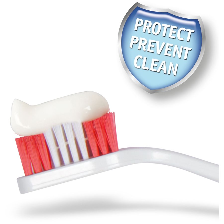 BEAPHAR TOOTHPASTE FOR DOGS 100G