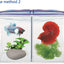 BETTA HOUSE DOUBLE