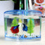 BETTA HOUSE DOUBLE