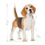 ROYAL CANIN BEAGLE ADULT 3KG