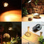 ROXIN AQUATIC PRODUCTS BACK LAMP
