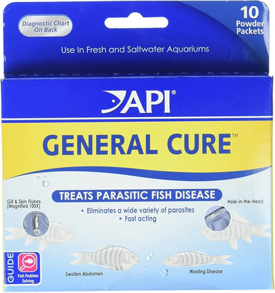 API GENERAL CURE FOR FISH 10 POWER PACKETS