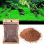 PLANT SEED PACKET