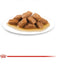 ROYAL CANIN ADULT MEDIUM GRAVY 140G