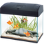 AA BASIC TANK