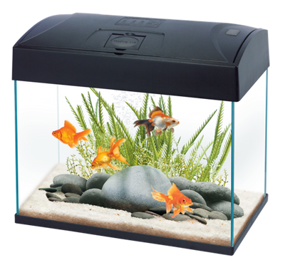 AA BASIC TANK