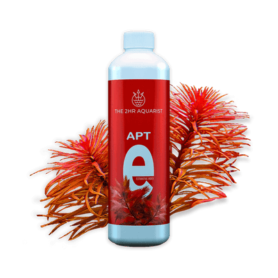 APT ESTIMATE INDEX 200ML