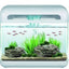 HAQOOS WATERFALL AQUARIUM 15ltr