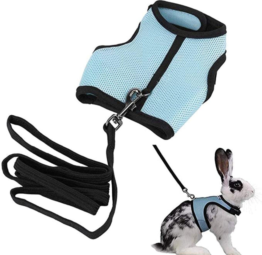 Pet Harness set