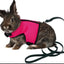 Pet Harness set