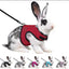 Pet Harness set