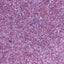 RED IMPERIAL SAND 1KG