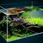 CRYSTAL TANK 35cm to 23cm