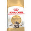 ROYAL CANIN  MAINE COON ADULT 2KG