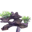YUSEE AQUARIUM DECORATION'S
