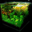 CRYSTAL CUBE TANK'S