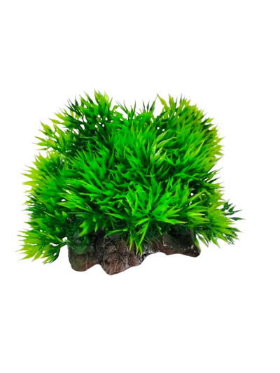 AQUARIUM DECORATION