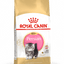 ROYAL CANIN PERSIAN  KITTEN  2KG