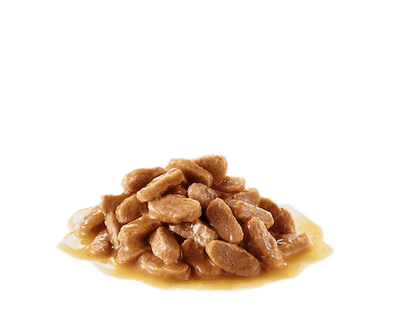 ROYAL CANIN PUPPY MAXI GRAVY 140G