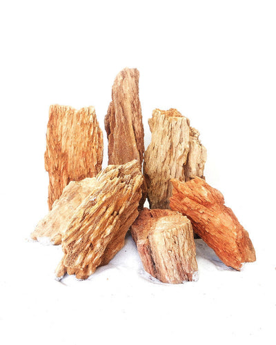 RED WOOD FOSSIL ROCK 1KG
