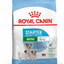 ROYAL CANIN MINI STARTER 1KG