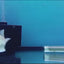 PEARL AROWANA  13-15CM