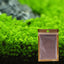 PLANT SEED PACKET