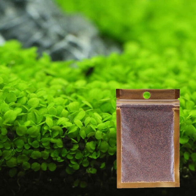 PLANT SEED PACKET