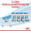 ROYAL CANIN STARTER MOUSSE CANE 195G