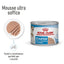 ROYAL CANIN STARTER MOUSSE CANE 195G