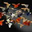 GUPPY FISH MIX MALE 3cm