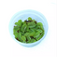 SALVINIA FLOATING PLANT IN CUP