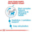 ROYAL CANIN MINI STARTER 1KG