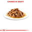 ROYAL CANIN PUPPY MAXI GRAVY 140G