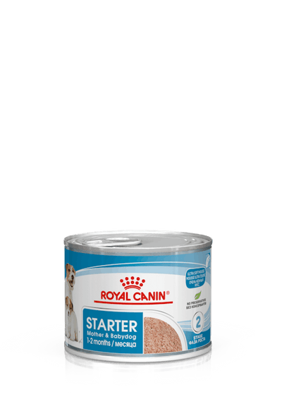 ROYAL CANIN STARTER MOUSSE CANE 195G